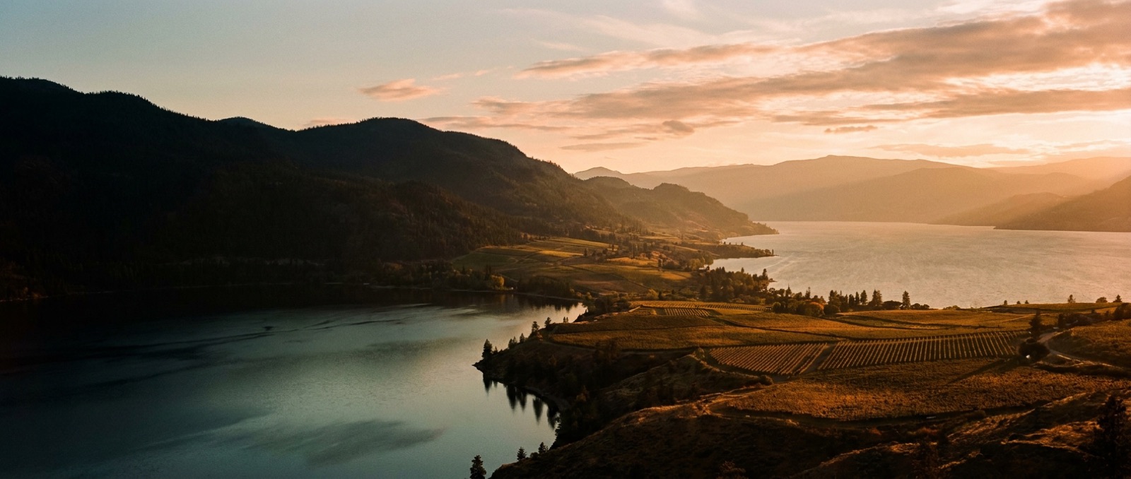 Okanagan Lake at golden hour, Kelowna, British Columbia